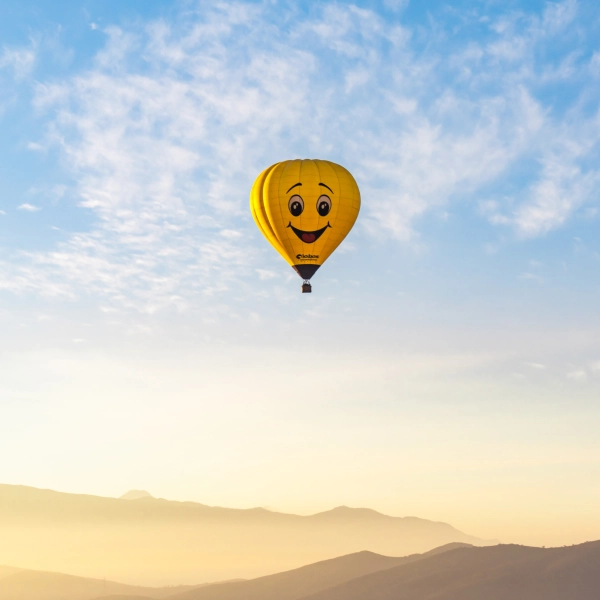 Hot air balloon with smiley face on it